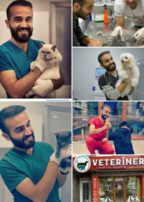 لوگوکلینیک دامپزشکی چاپا