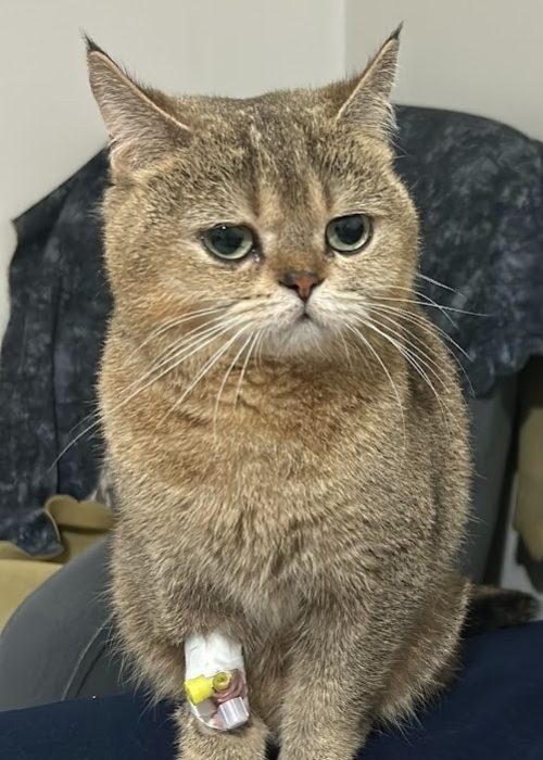 imgi_75_AG0ilSyK4G9TP_cF427P6GM7M_YDKIL6GzBLQ2hmTKOcR3ePFV5C-vIsGGDSVM3mbr-9hQ9xQtg01Py-IgqdhzrjY06be_dcuTqNKU6f9Nz3k8TYJYG-xcV-PuJQpQkPKhMrTA-F