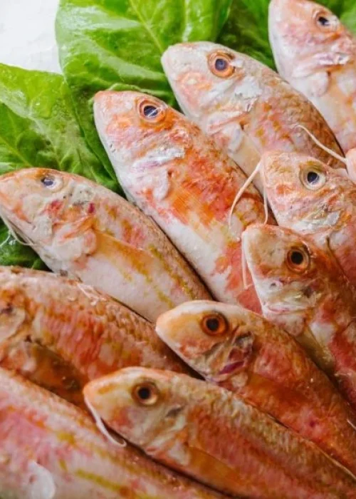 Sakız Alsancak، ازمیر
