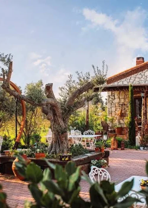 Vino Locale، ازمیر