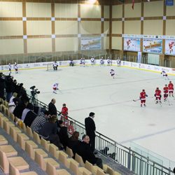 کاورپاتیناژ سیلیوری کاپی