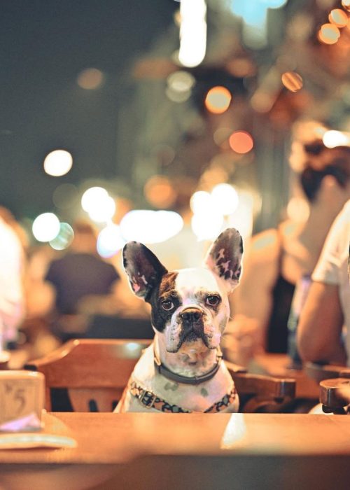 photo_2025-08-03_23-14-27