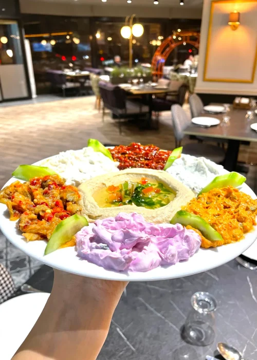 Faham Hatay Sofrasi، ساکاریا