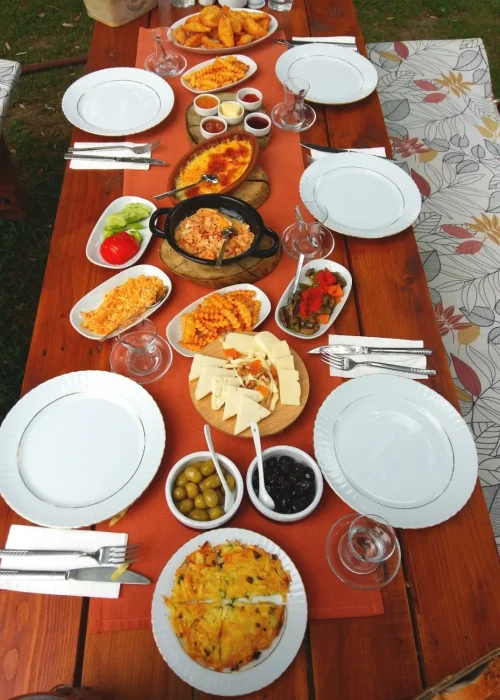 Şölen Bahçe، ساکاریا
