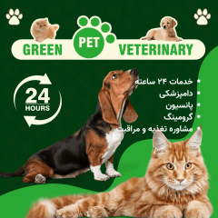 کلینیک دامپزشکی گرین پت یشیل کوی 24 ساعته