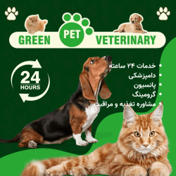 کلینیک دامپزشکی گرین پت یشیل کوی 24 ساعته