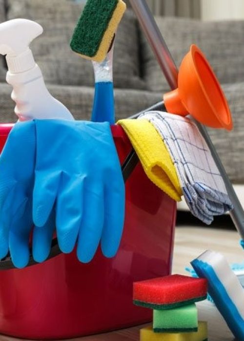 خدمات نظافتی Saral Temizlik (2)