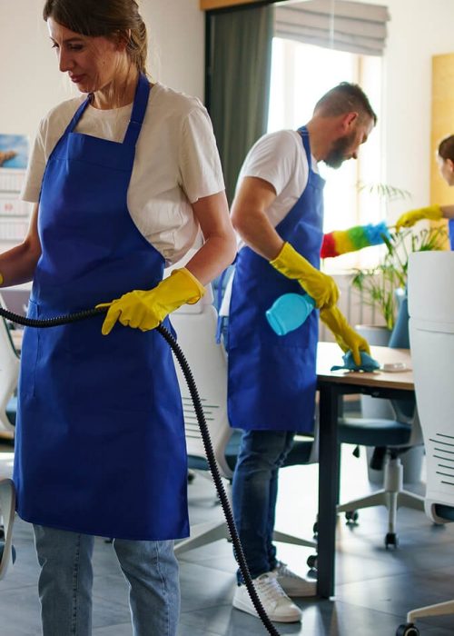 خدمات نظافتی Saral Temizlik (6)