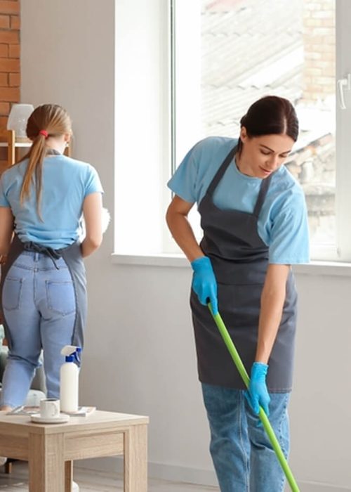 خدمات نظافتی Saral Temizlik (8)