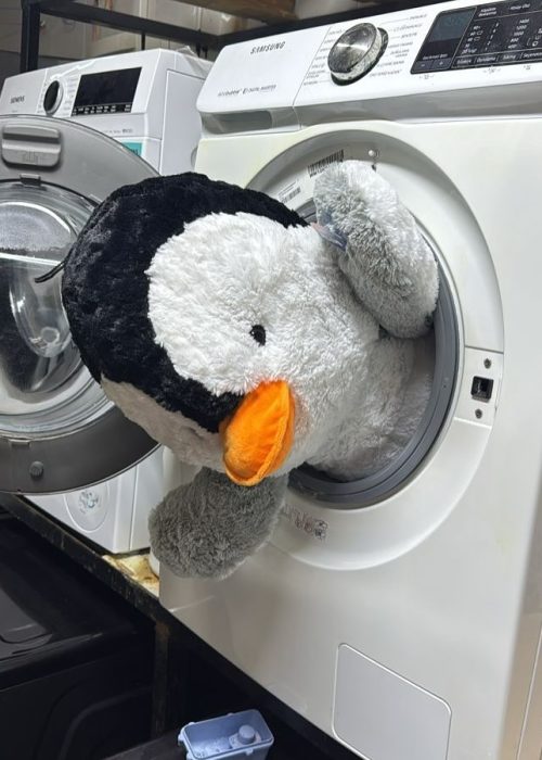 خشکشویی SunDry۵