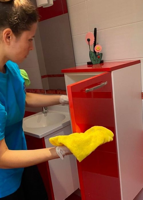 شرکت نظافتی ایشیلتی (8)