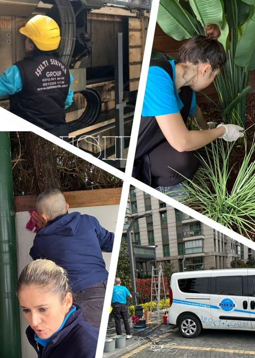 شرکت نظافتی ایشیلتی