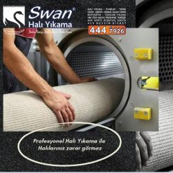 قالیشویی سوان