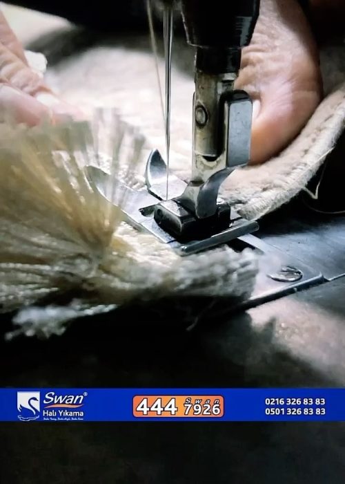 قالیشویی سوان1