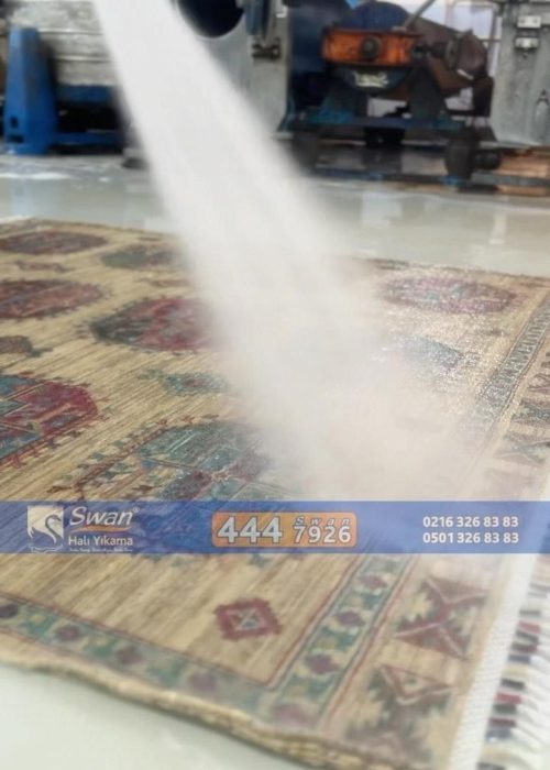 قالیشویی سوان5