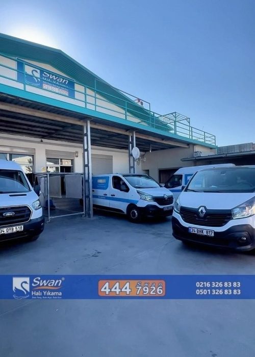 قالیشویی سوان6