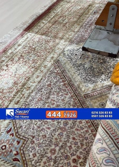 قالیشویی سوان7