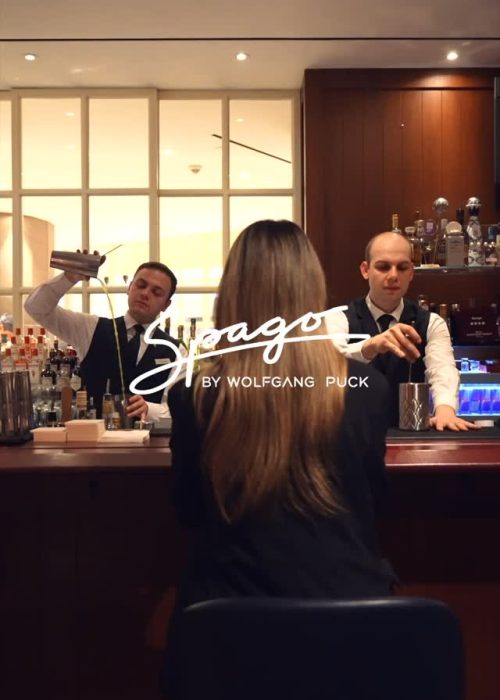 هتل ST.Regis Istanbul 14