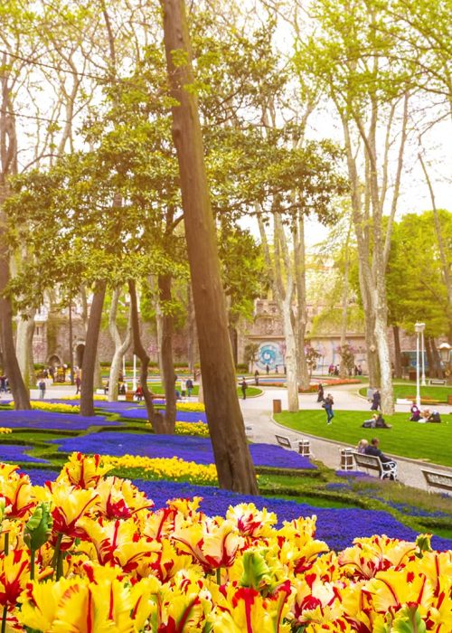 پارک گلخانه 1