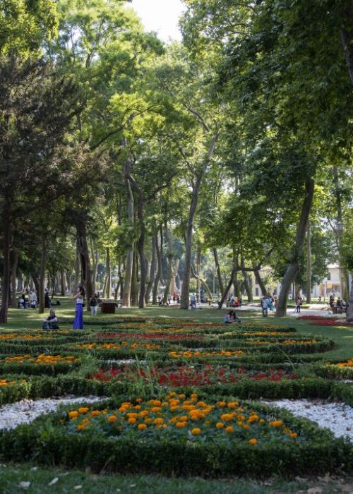 پارک گلخانه 2