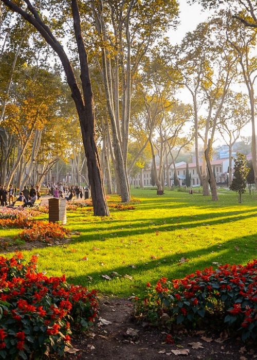 پارک گلخانه 3