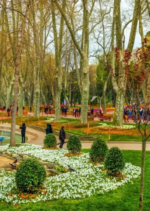 پارک گلخانه 4