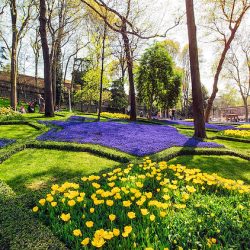 پارک گلخانه