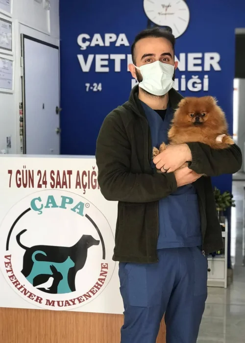 کلینیک دامپزشکی چاپا3