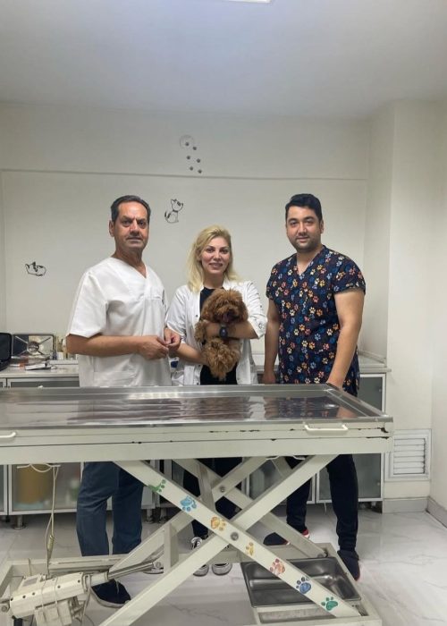 کلینیک دامپزشکی گرین پت یشیل کوی