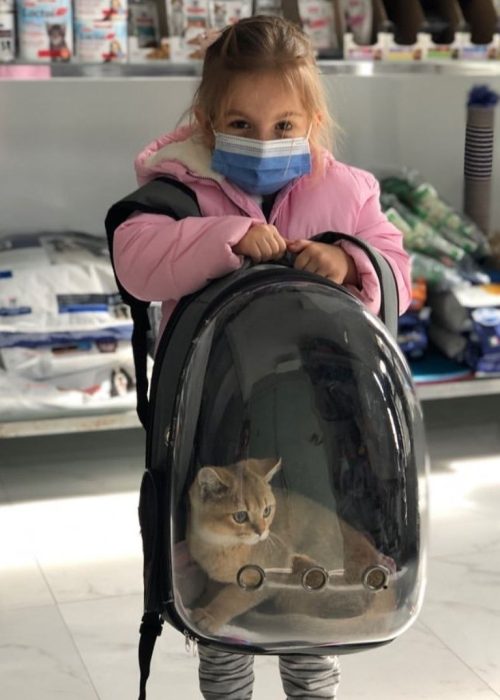 کلینیک دامپزشکی گرین پت یشیل کوی7